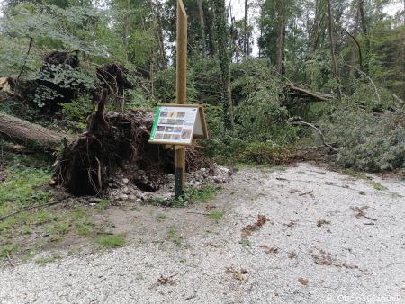 Ogled kolesarske povezave Kamnik–Godič (4)
